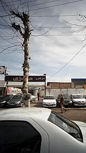 اتو گالری مرکزی
