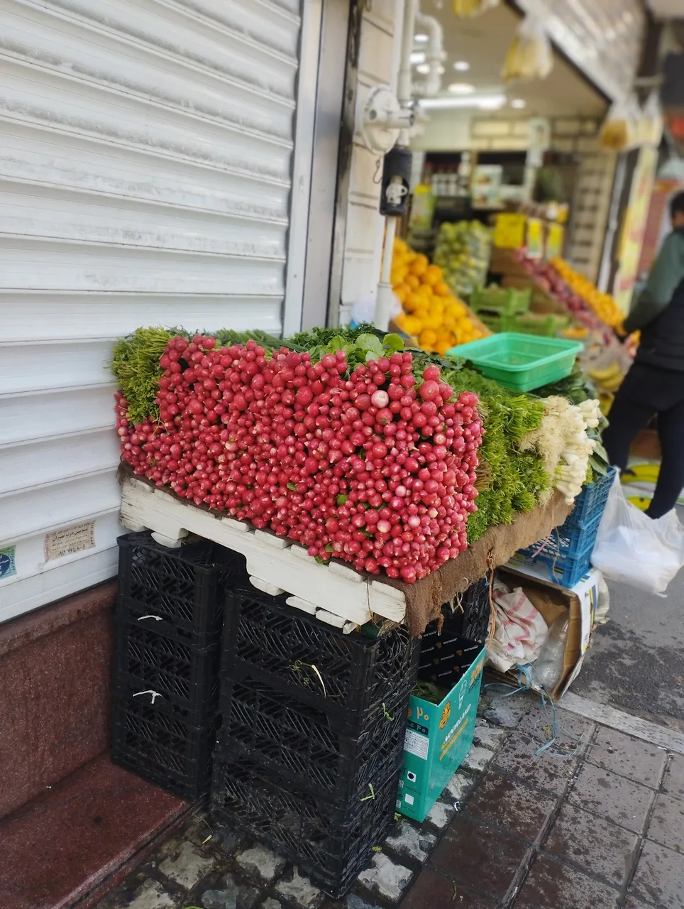 فاز یک میوه و تره بار تهران - تصویر 3