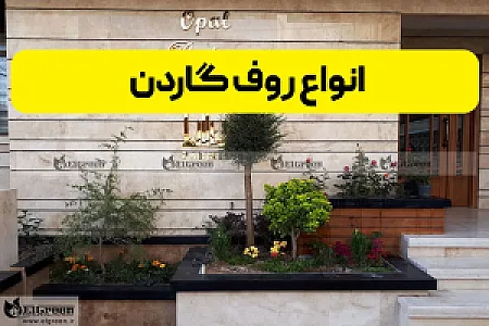 چکادبام