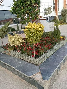 خدمات باغبانی حصاری