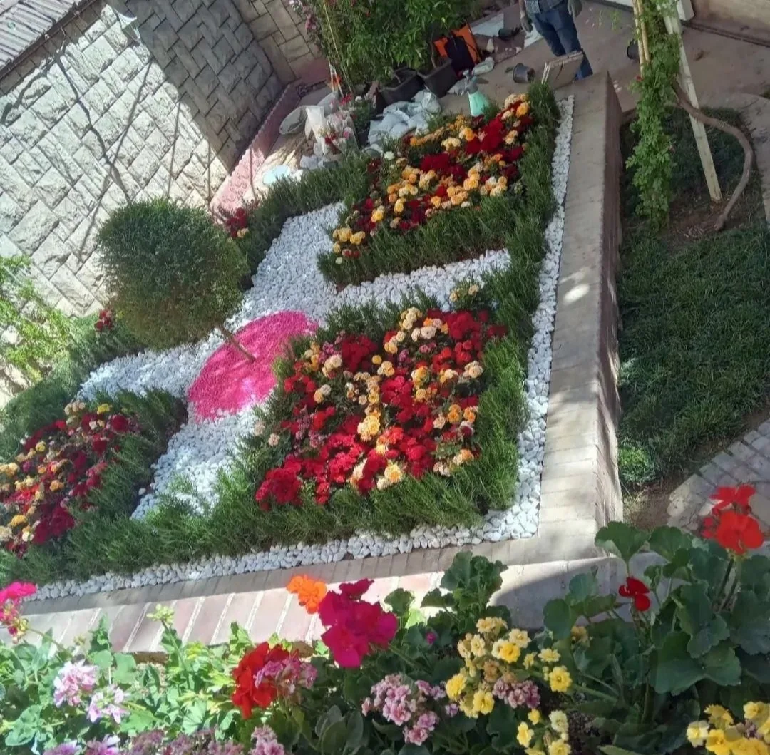 خدمات باغبانی حصاری - تصویر 2