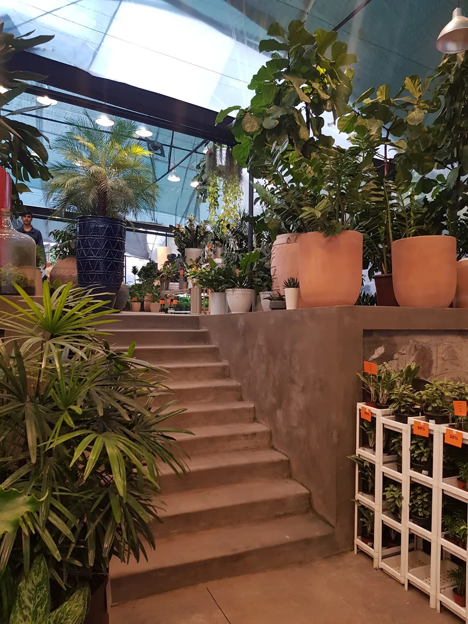 گلخانه بیلوبا - تصویر 2
