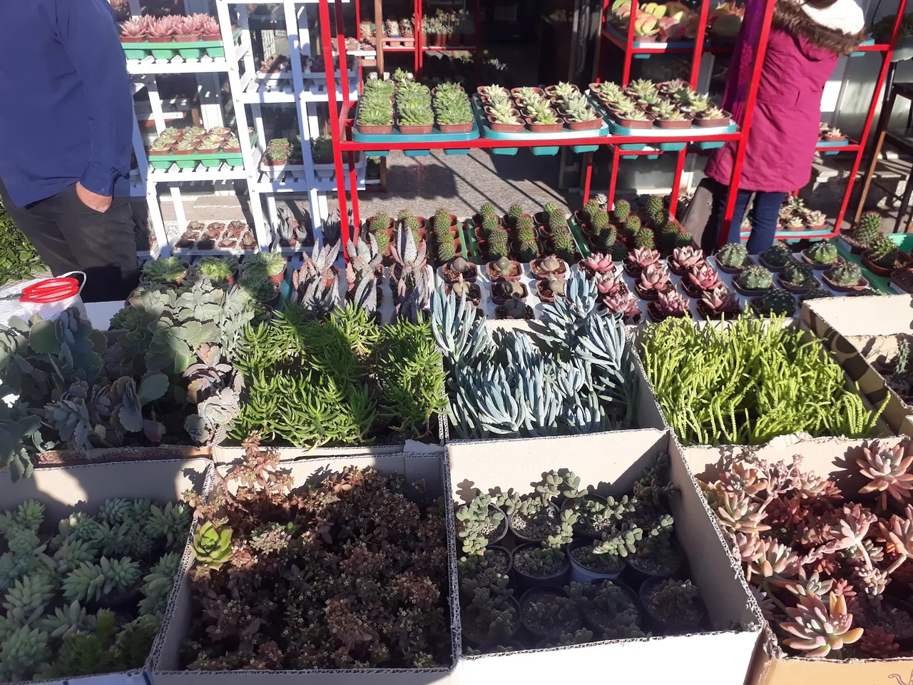 باغ گل فدک