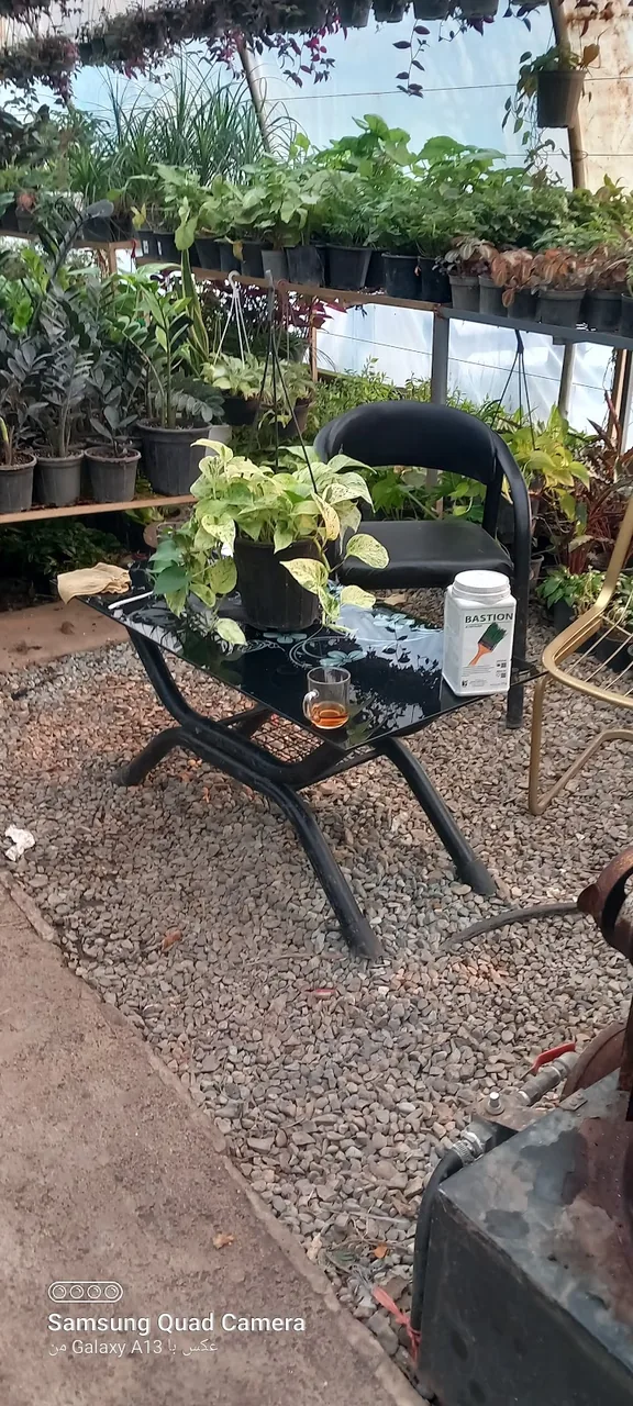 باغ گل فدک - تصویر 6