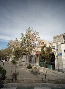 خشکبار آذربایجان برنج گیلان