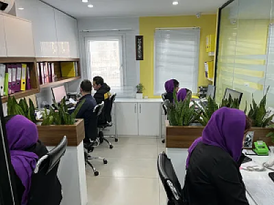 موسسه حسابداری دانا محاسب فکور