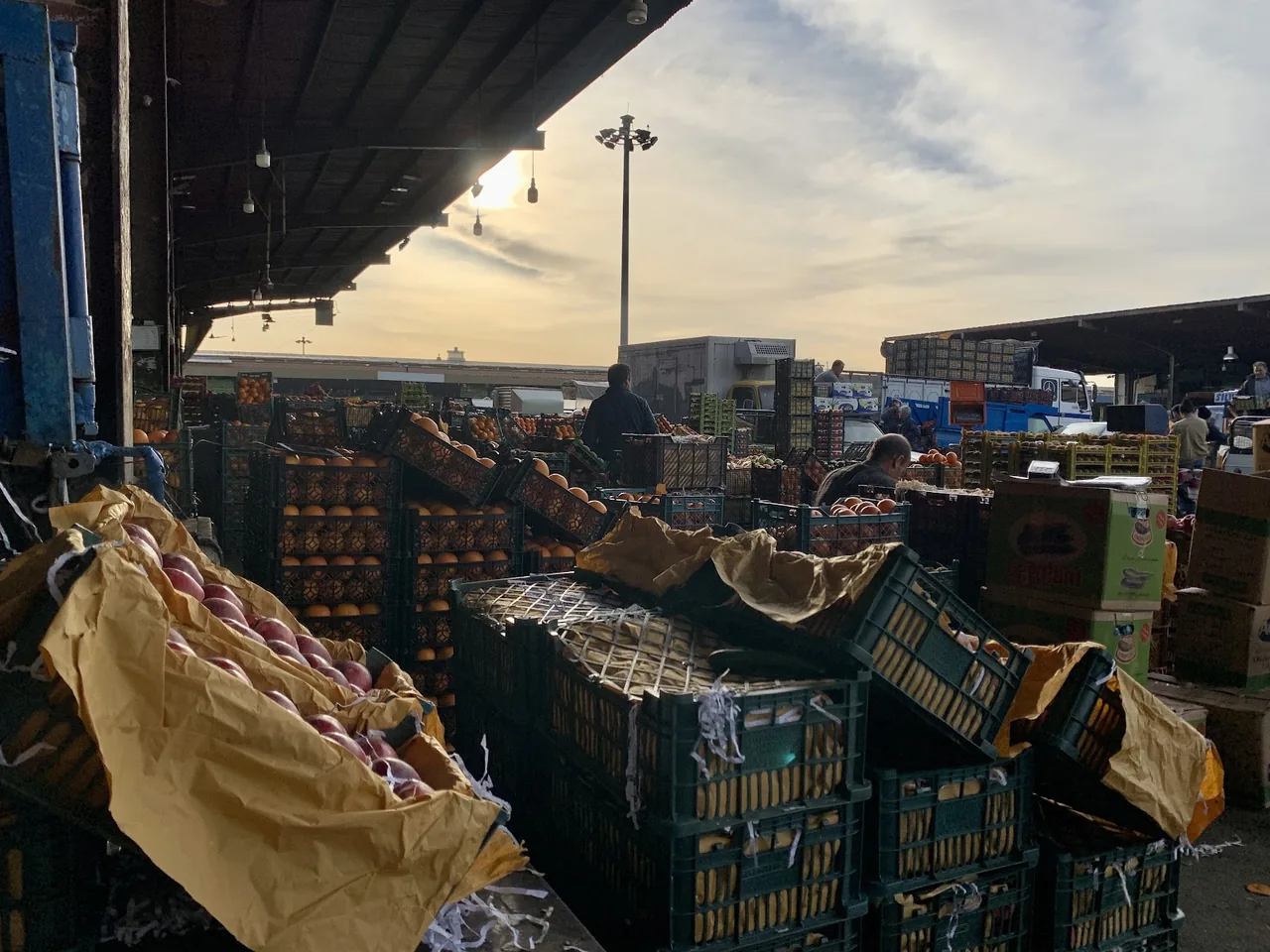 میدان مرکزی میوه و تره‌بار تهران - تصویر 6