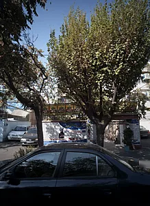 دهکده جهانی سلامت و توانبخشی شفا موعود