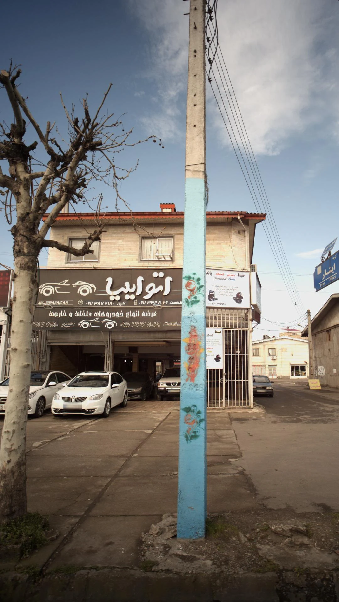 اتو ایلیا
