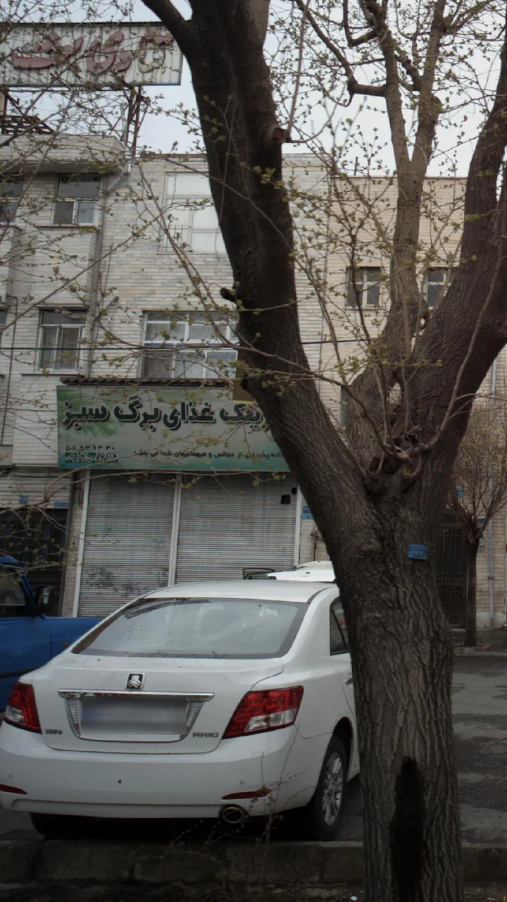کترینگ غذای برگ سبز