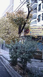 کترینگ ناب