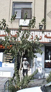 شرکت ایمنی ساز آریا