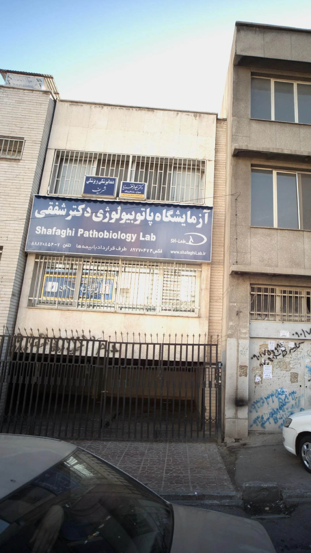 آزمایشگاه پاتوبیولوژی دی - تصویر 2
