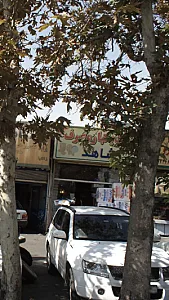 ظروف یک بار مصرف شاهد
