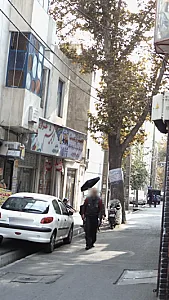 امید پلاست