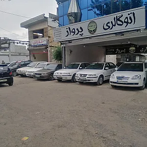 اتوگالری پرواز