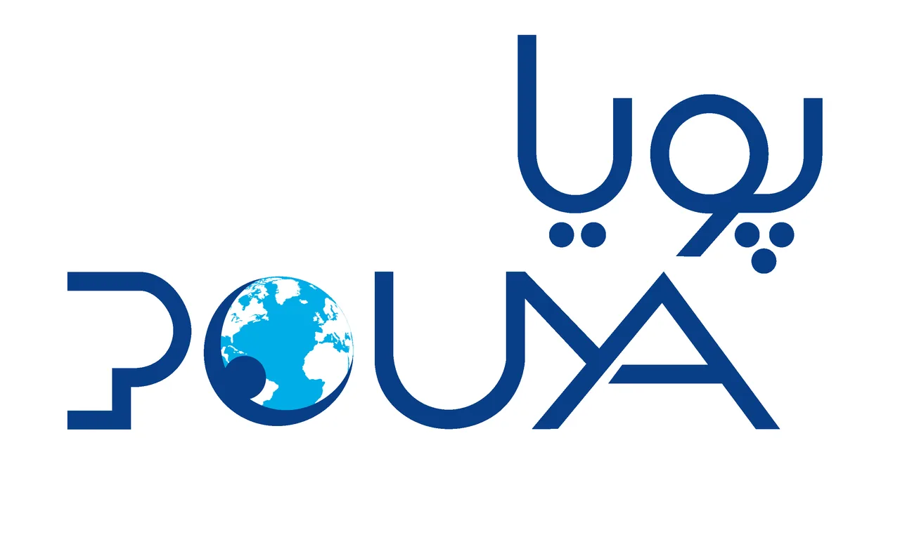فروشگاه دوربین مداربسته پویا - تصویر 5