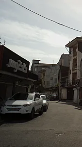 کاکتوس