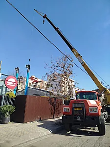 جرثقیل نیرومند