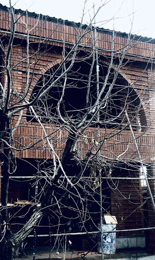 استودیو معماری بوم