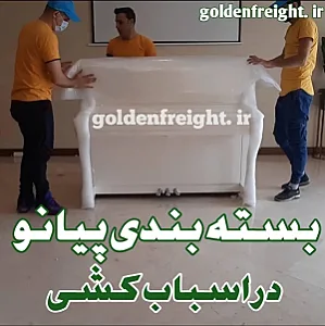 باربری طلایی