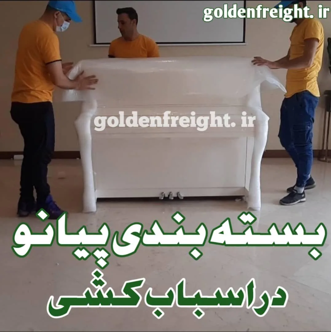 باربری طلایی
