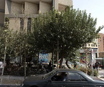 دفتر فنی امیر کبیر