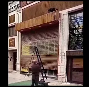 نصب وتعمیر کرکره برقی ودربهای اتوماتیک