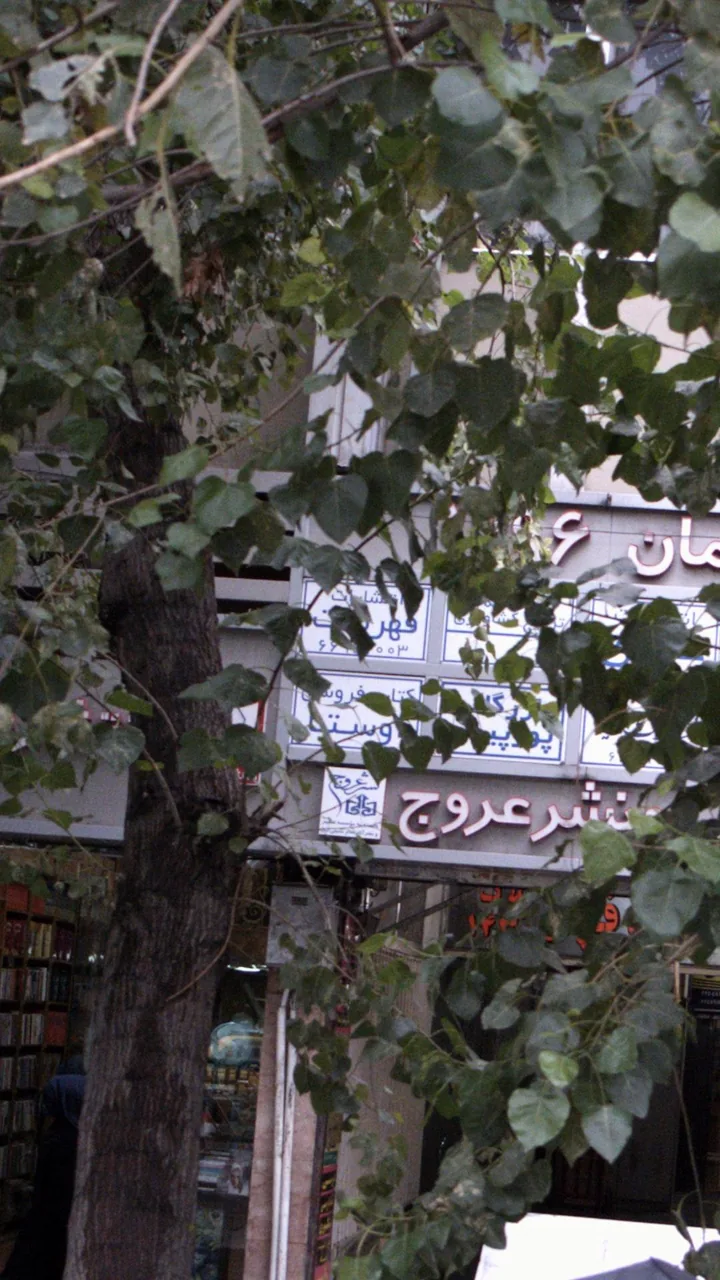 انتشارات رهنما (شعبه مرکزی) - تصویر 3