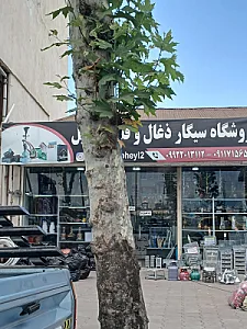 گلستان چهارم