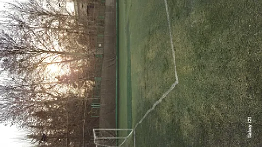 زمین چمن مصنوعی فیض