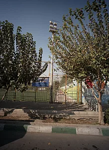 زمین چمن طبیعی بوستان گلچین