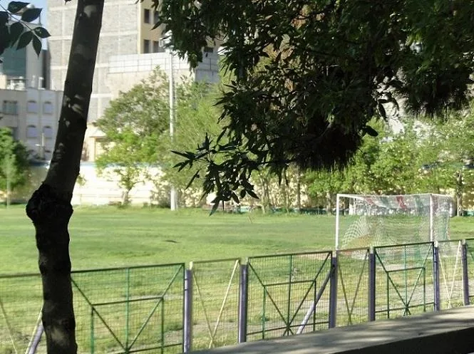 زمین چمن طبیعی فوتبال دبیرستان ماندگار البرز - تصویر 2