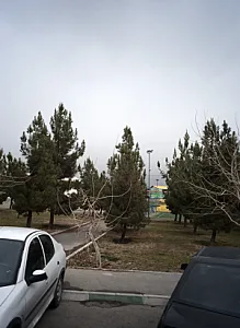 زمین چمن مصنوعی معلم