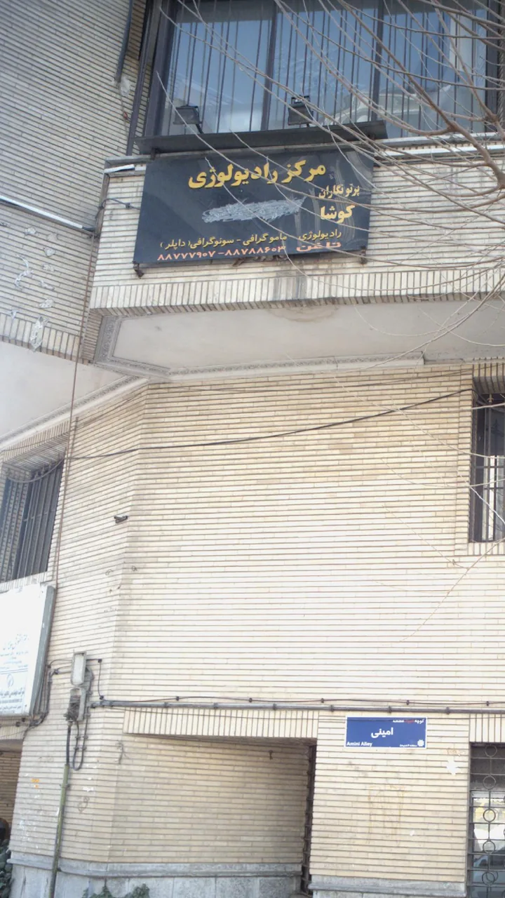 پرتو نگاران کوشا - تصویر 2