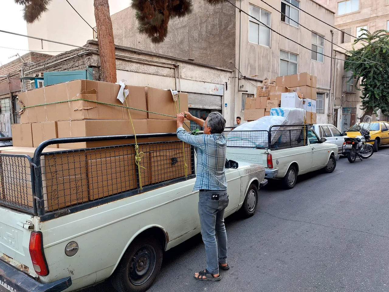 تولیدی آقای کفش نورمحمدی
