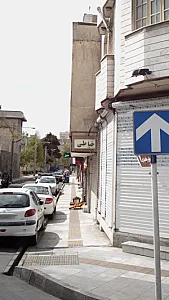 تولیدی نوژن