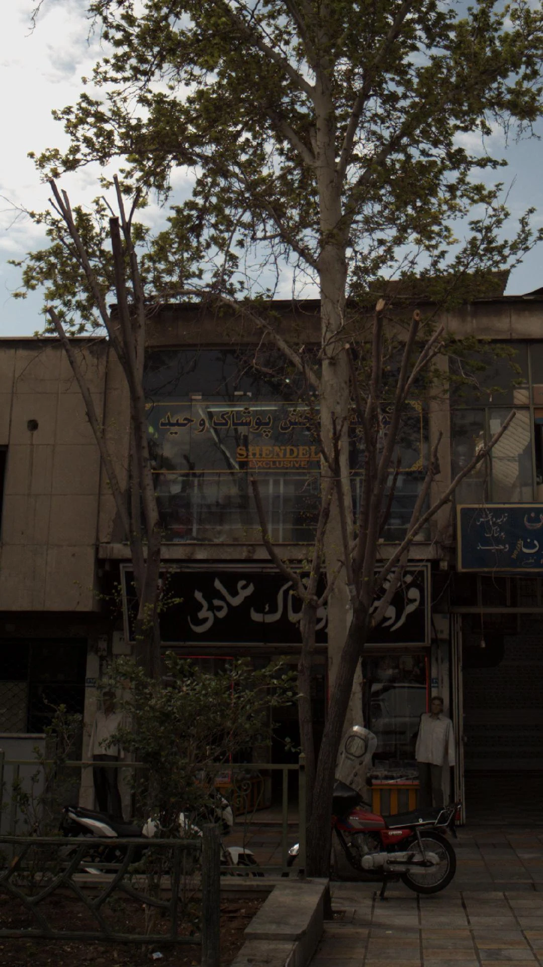 تولیدی نوژن - تصویر 2