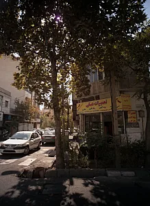 کارگاه مبل علی