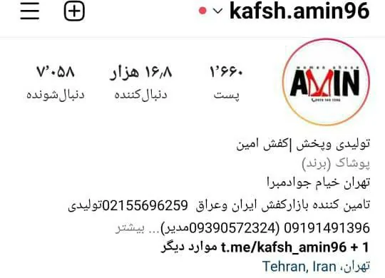 تولید و پخش کفش امین