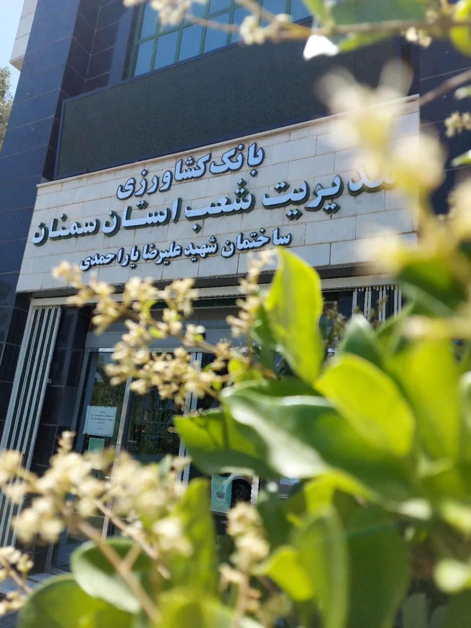 مدیریت شعب بانک کشاورزی استان سمنان - تصویر 4