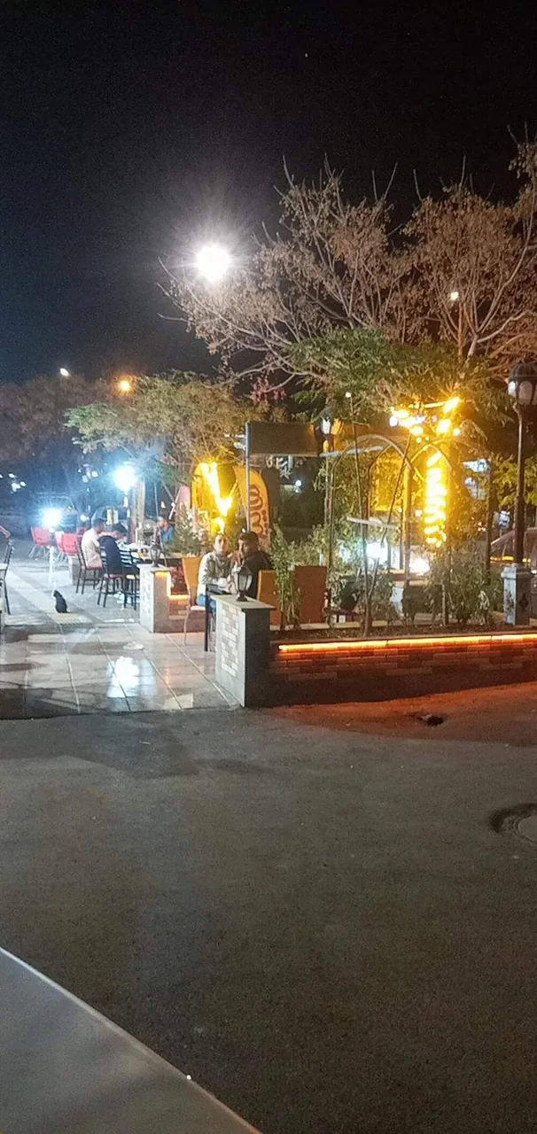 کباب ذغالی - تصویر 3