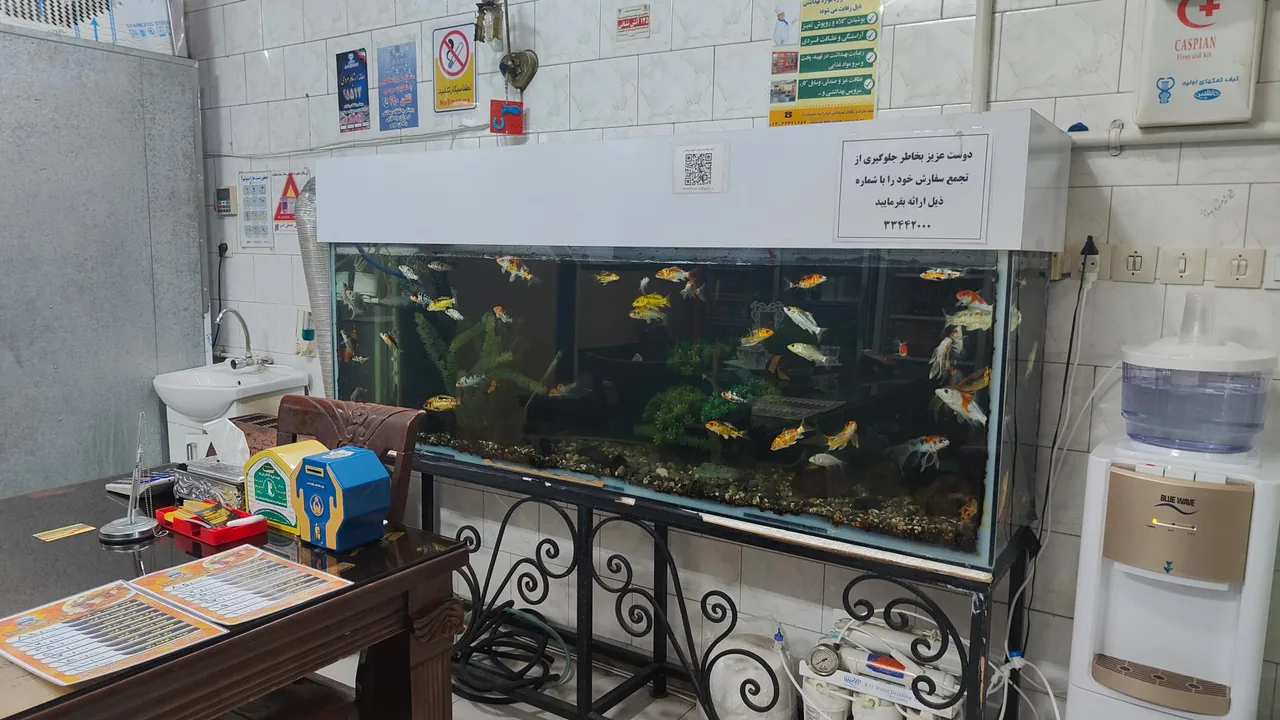 کبابی قائم - تصویر 3
