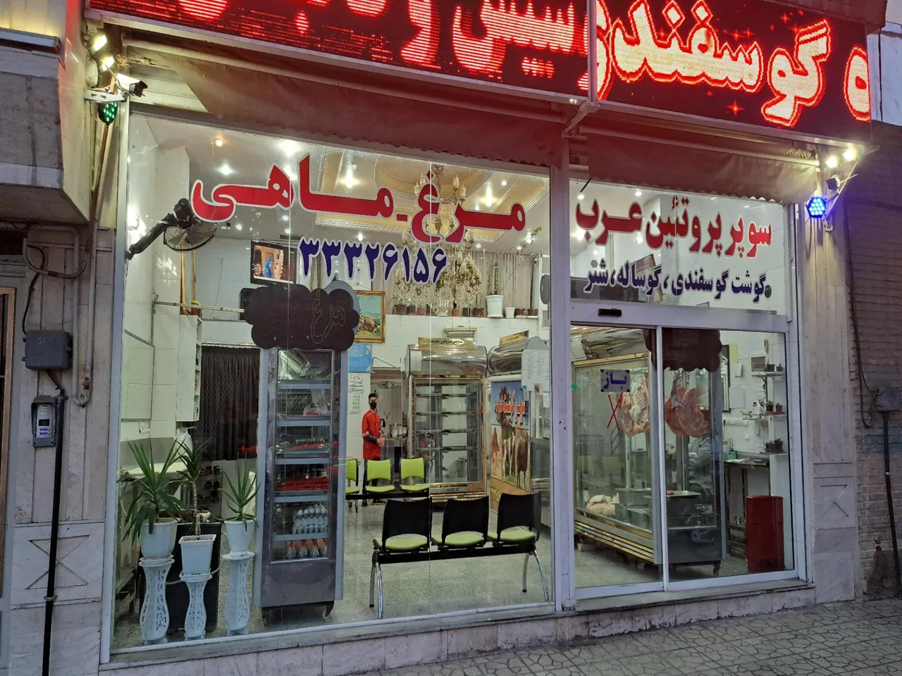 سوپر پروتئین عرب - تصویر 3