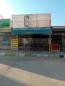 پروتئین دالیا