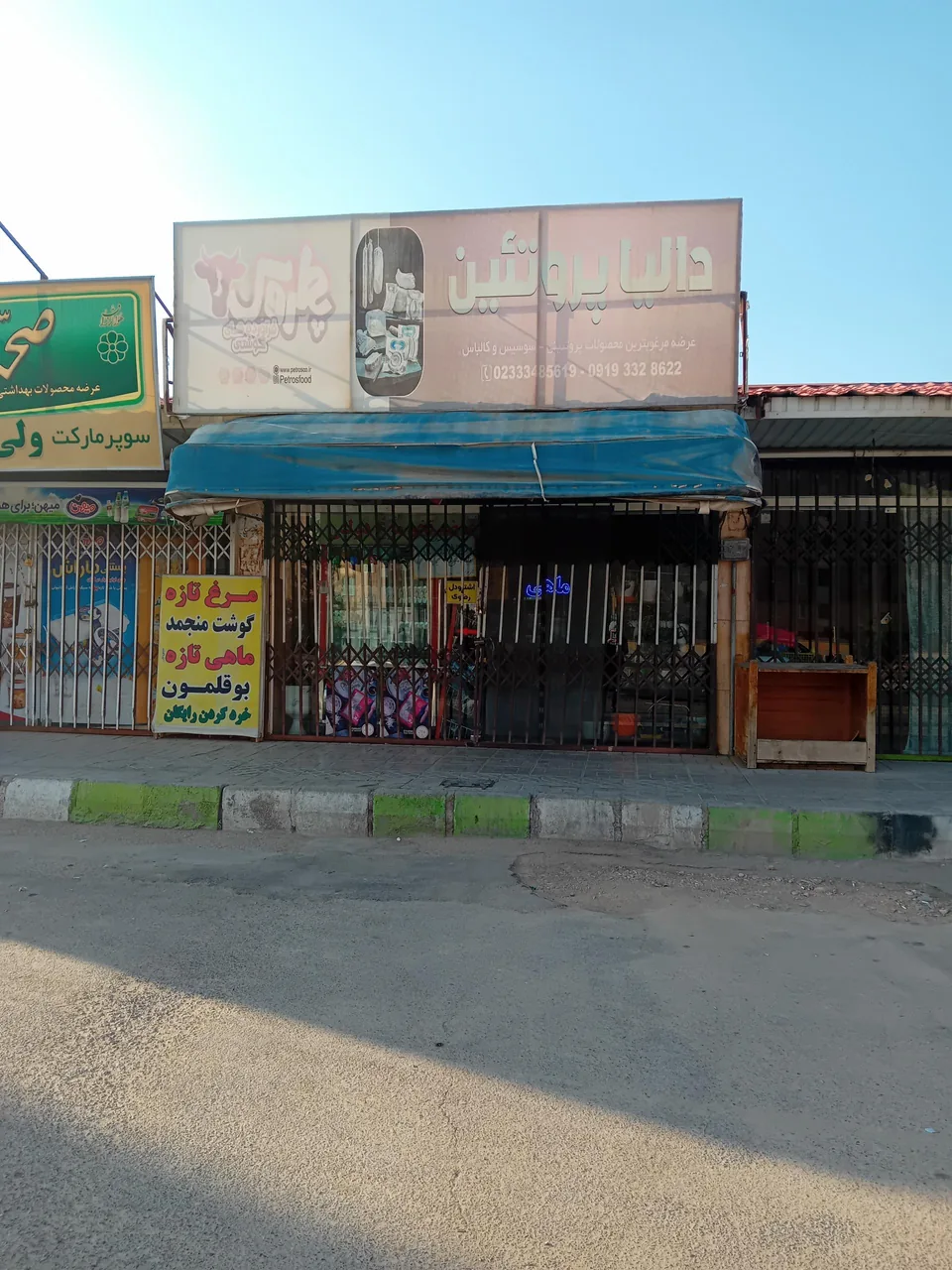 پروتئین دالیا