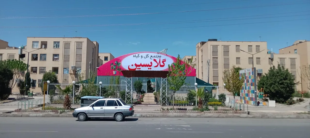 مجتمع گل و گیاه گلایسین - تصویر 2