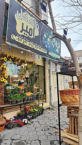 خانه گل امیر