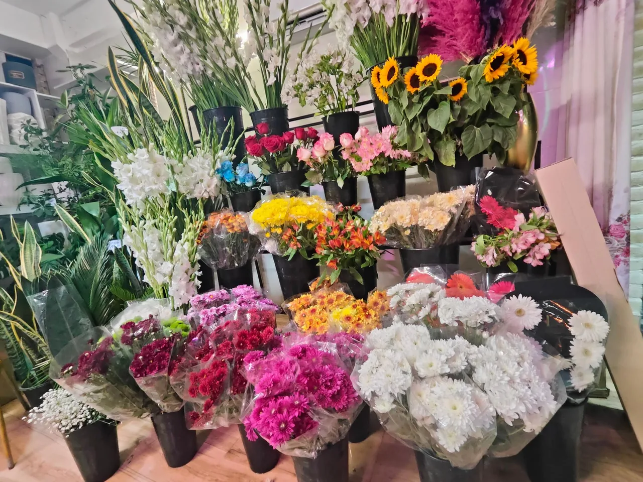 خانه گل امیر - تصویر 4