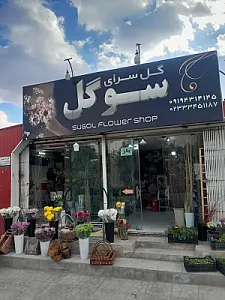 گلسرای سوگل